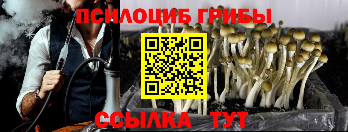 Псилоцибиновые грибы MAGIC MUSHROOMS  Псилоцибиновые грибы ЛСД  цена   Борисоглебск  Вход с VPN 